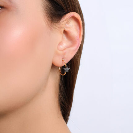 Hoop Earrings with Star
